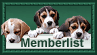 Memberlist