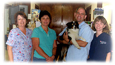 Meet the Jennings Animal Hospital Veterinary Team - Jennings LA Meet the Jennings Animal Hospital Veterinary Team - Jennings LA